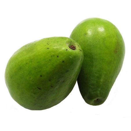 Aguacate Papelillo 500 gr