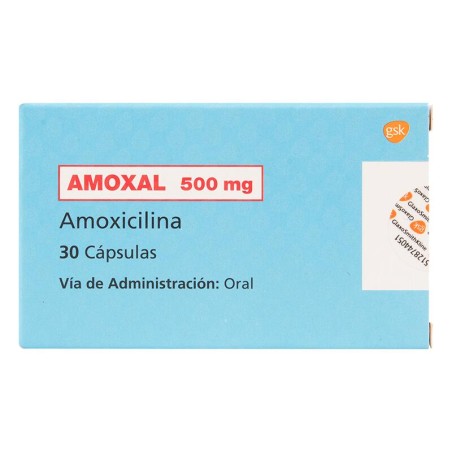 Amoxal Fracción 10 Cápsulas 500mg