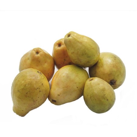 Guayaba Pera 500 gr