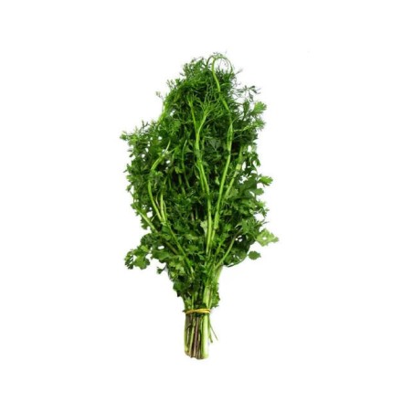 Cilantro Paquete