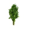 Cilantro Paquete