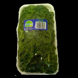 Kale en Bandeja Campo Fresh 160 gr