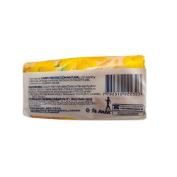 Jabón Carey Protección Antibacterial  X3Uni X110g