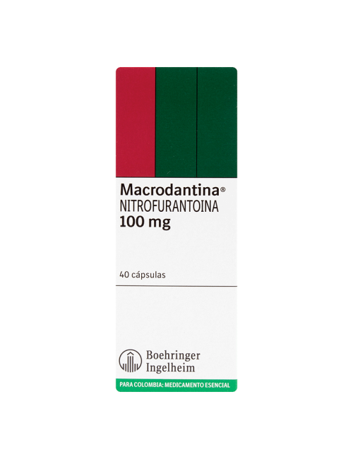 Macrodantina Fracción 10...