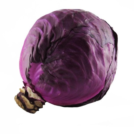 Repollo Morado 2000 gr