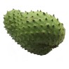 Guanabana 4000 gr