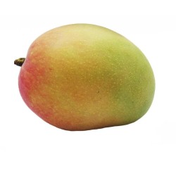 Mango Tommy 500gr