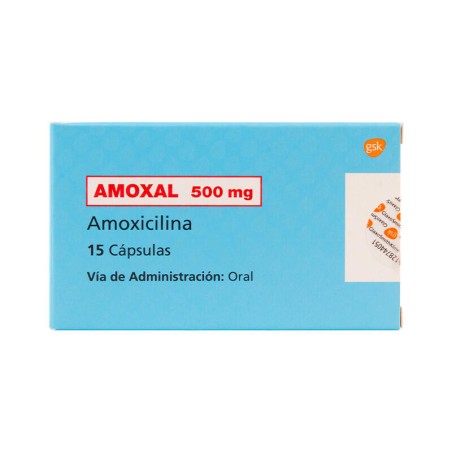 Amoxal 15 Cápsulas 500Mg