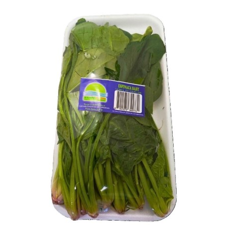 Espinaca Baby Campo Fresh Bandeja 200 gr