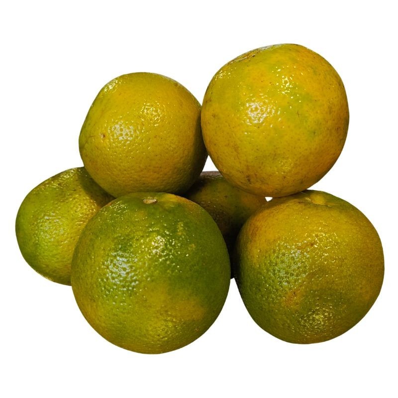 Naranja Valencia 500 gr