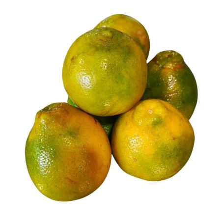 Naranja Tangelo 500gr